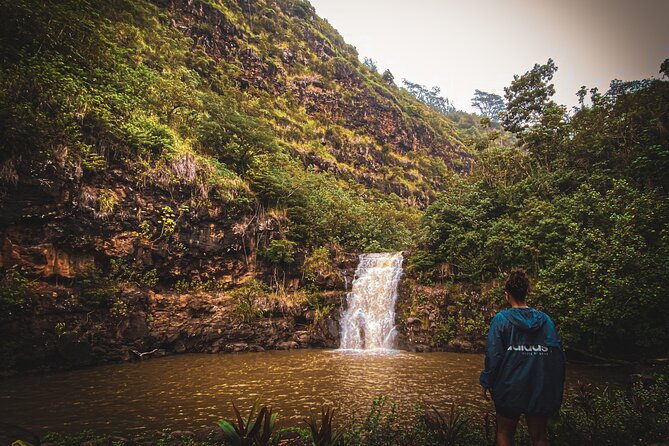 Waterfall Hike in Hawai'i Rainforest Trail - Weather Reality: When It Changes the Whole Day