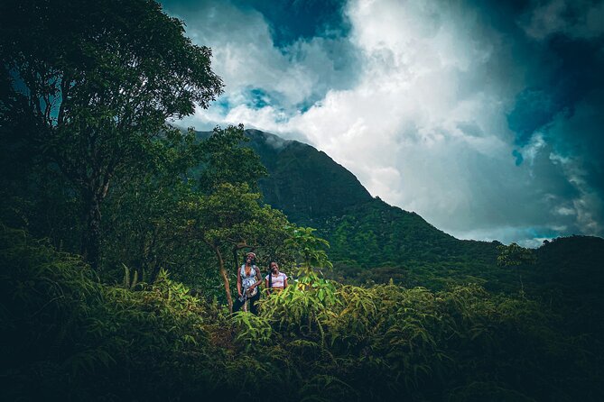 Waterfall Hike in Hawai'i Rainforest Trail - A True Rainforest Hike: Bamboo, Taro Patches, and the Stream Crossings