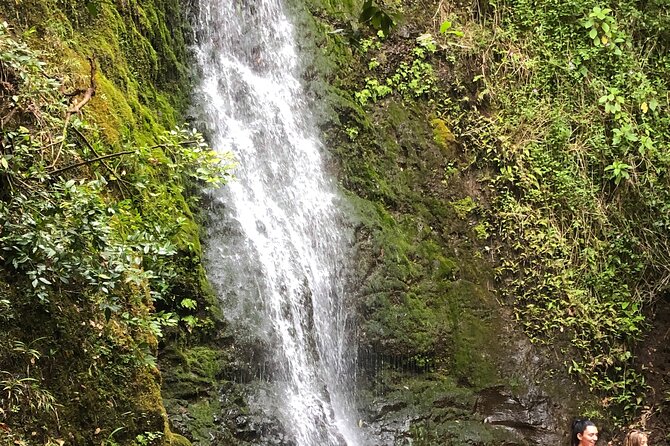 Waterfall Hike , Sightseeing & East Side Beach Day - Key things that make this tour worth your time